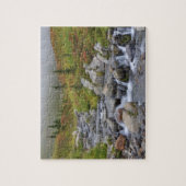 エディスクリーク，レイニエ山国立公園 ジグソーパズル (縦)