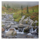 エディスクリーク，レイニエ山国立公園 タイル (正面)