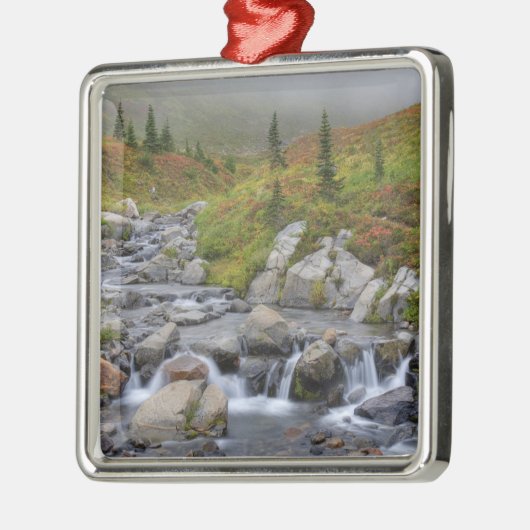 エディスクリーク，レイニエ山国立公園 メタルオーナメント (左)