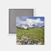 エディス・クリークとワイルドフラワーはパラダイスで牧草地 マグネット (正面/裏面)