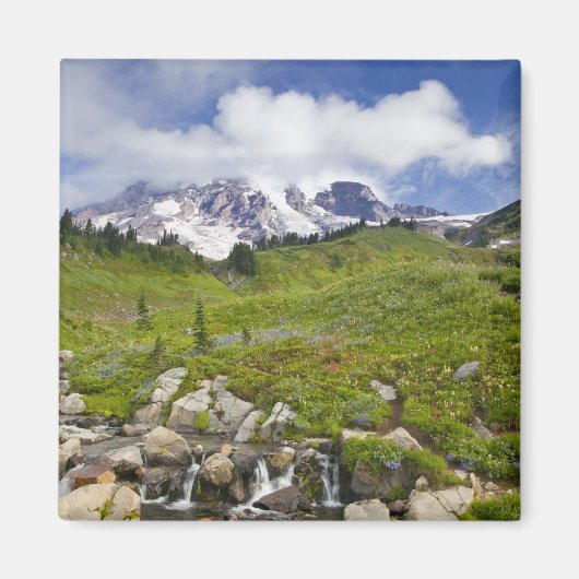 エディス・クリークとワイルドフラワーはパラダイスで牧草地 マグネット (正面)