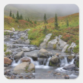 エディス・クリーク国立公園内レイニエ山 スクエアシール (正面)