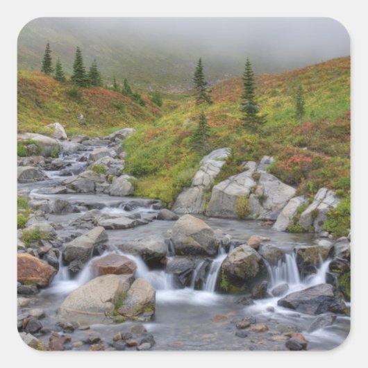 エディス・クリーク国立公園内レイニエ山 スクエアシール (正面)