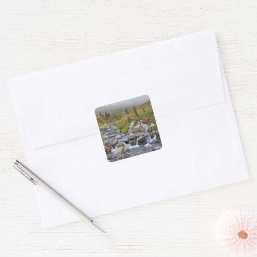 エディス・クリーク国立公園内レイニエ山 スクエアシール (封筒)