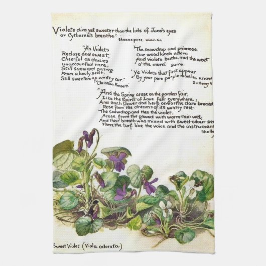 エディス・ホールデンの「Nature Notes, Violets」 テオタオル キッチンタオル (縦)