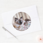 エディス ラウンドシール (封筒)