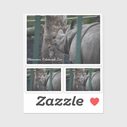 エディンバ素晴らしーグ動物園で一角サイ シール (シート)