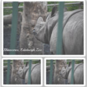 エディンバ素晴らしーグ動物園で一角サイ シール (正面)