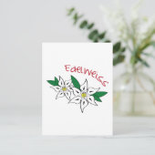 エデルワイス ポストカード (スタンド正面)