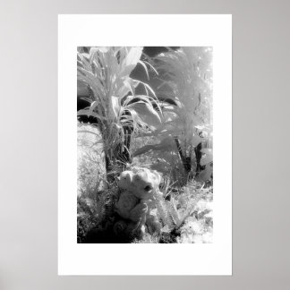 エデンの園で魚 ポスター