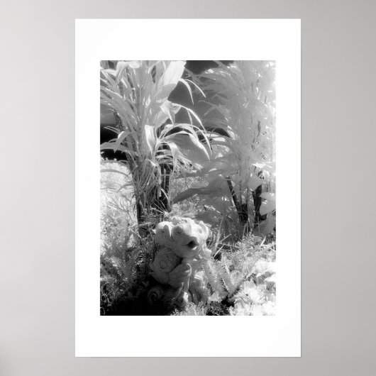 エデンの園で魚 ポスター (正面)