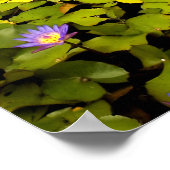 エデンの庭 – マウイ – ハワイ ポスター (角)