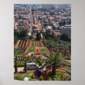 エデンの恵み ポスター (正面)