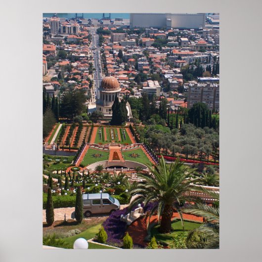 エデンの恵み ポスター (正面)