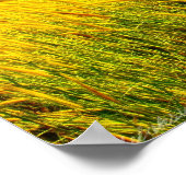 「エデンの新しい生活」写真プリント ポスター (角)