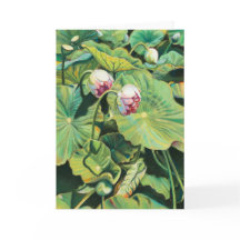 エデンズライト – 