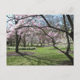 エデンパークシンシナティ，オハイオ春 ポストカード