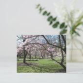 エデンパークシンシナティ,オハイオ春 ポストカード (スタンド正面)