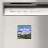 エデンプロジェクト マグネット (インサイチュ (食洗機))