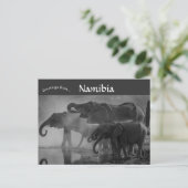 エトシャ国立公園ナミビアの象 ポストカード (スタンド正面)