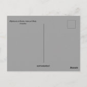 エトシャ国立公園ナミビアの象 ポストカード (裏面)