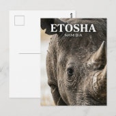 エトシャ国立公園 ナミビア ポストカード (正面/裏面)