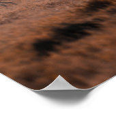 エトシャ国立公園 ポスター (角)