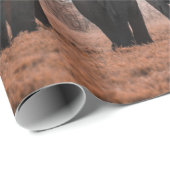 エトシャ国立公園 ラッピングペーパー (ロールコーナー)