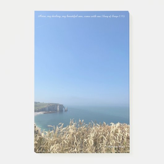 エトレタットクリフス，フランス ポストイット (正面)