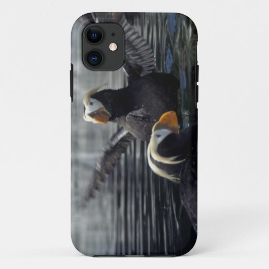 エトロフツキツグミ Case-Mate iPhoneケース (裏面)