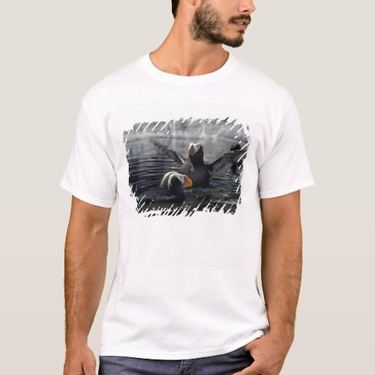 エトロフツトウツブメ Tシャツ (正面)