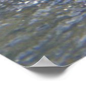 エドとサーモン ポスター (角)