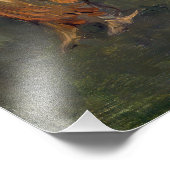 エドアードマネ – モネ家の庭 フォトプリント            (角)