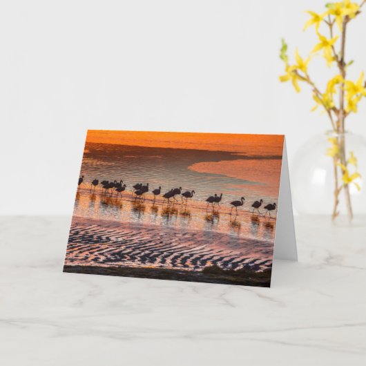 エドゥアルド・アバロア・アンデス動物保護区 カード (黄色い花)