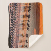 エドゥアルド・アバロア・アンデス動物保護区 シェルパブランケット (正面)