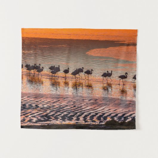 エドゥアルド・アバロア・アンデス動物保護区 タペストリー (正面(横))