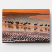 エドゥアルド・アバロア・アンデス動物保護区 フォトプラーク (正面)