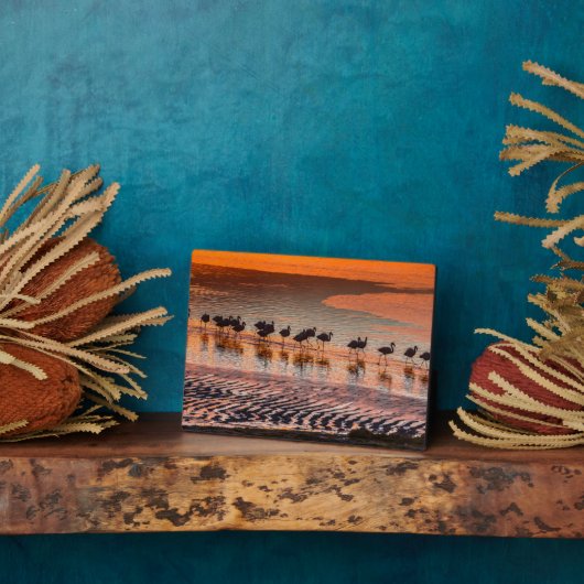 エドゥアルド・アバロア・アンデス動物保護区 フォトプラーク (側面)