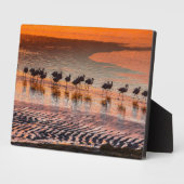 エドゥアルド・アバロア・アンデス動物保護区 フォトプラーク (側面)