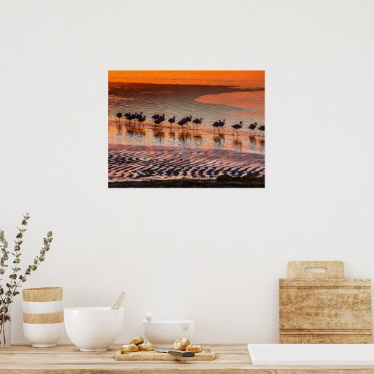 エドゥアルド・アバロア・アンデス動物保護区 ポスター (キッチン)