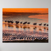 エドゥアルド・アバロア・アンデス動物保護区 ポスター (正面)