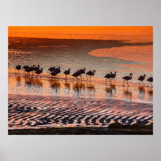 エドゥアルド・アバロア・アンデス動物保護区 ポスター (正面)