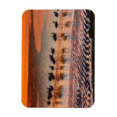 エドゥアルド・アバロア・アンデス動物保護区 マグネット (縦)