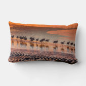 エドゥアルド・アバロア・アンデス動物保護区 ランバークッション (裏面)