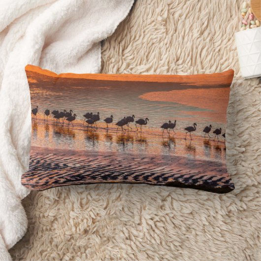 エドゥアルド・アバロア・アンデス動物保護区 ランバークッション (ブランケット)