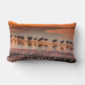 エドゥアルド・アバロア・アンデス動物保護区 ランバークッション (正面)