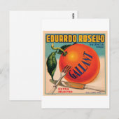 エドゥアルド·ロセロ·バレンシアスペインヴィンテージ·クレート·ラベ ポストカード (正面/裏面)