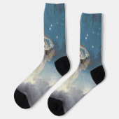 エドウィンブラッシュフィールドスターズ散乱アールヌーボー ソックス (左)