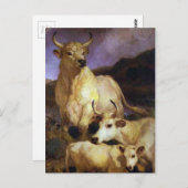 エドウィン・ヘンリー・ランドによるチリングハムの野生の牛 ポストカード (正面/裏面)