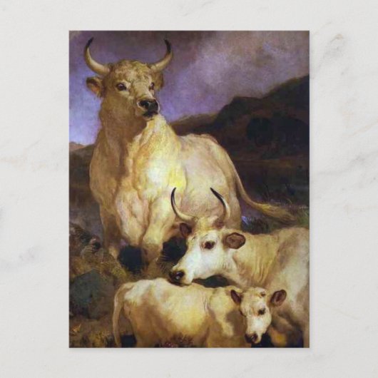 エドウィン・ヘンリー・ランドによるチリングハムの野生の牛 ポストカード (正面)